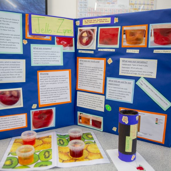 ScienceFair2023]-12